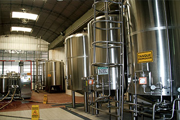 ccu-nuestrasplantas-allen